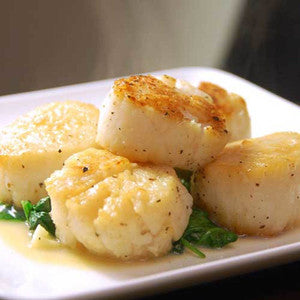 Sea Scallops