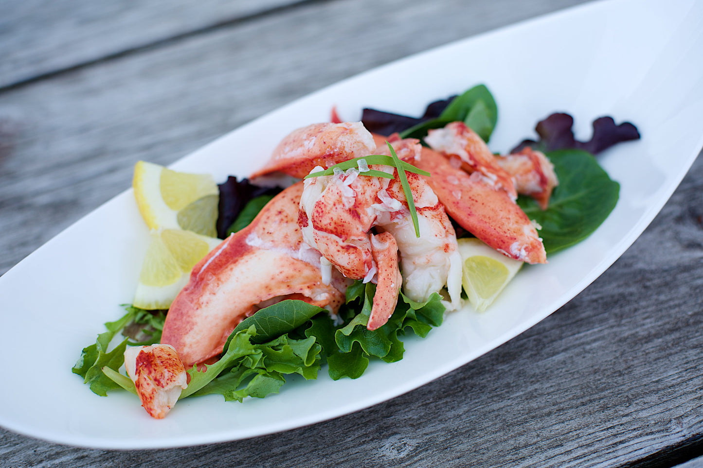Lobster Meat