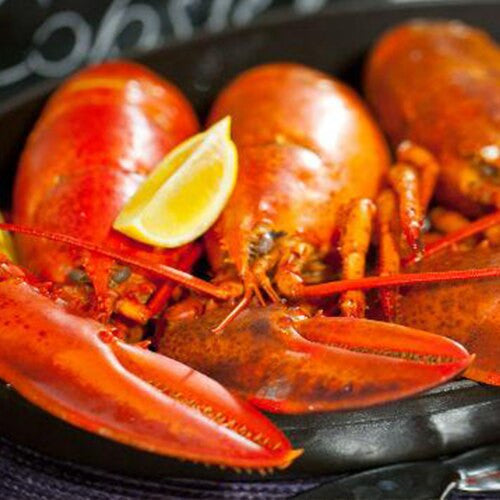 Lobster Dorr Lobster Co., Inc.